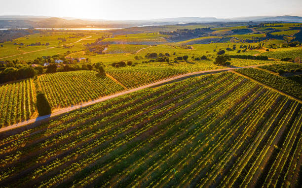 Een onvergetelijke wijnreis naar Châteauneuf-du-Pape met Phil Karis