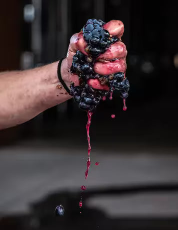 Article-3-columns-Color-Red-Wine-Tinta-Toro-Grape-Variety-Bodega-Numanthia_4_png.avif