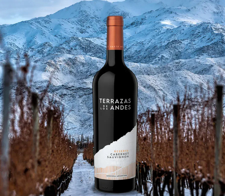 Terrazas-de-los-Andes-product-page-Reserva-Cabernet-Sauvignon-2021-EN-WW-EN-US-PT-SPA-WW-red-wine-in-Mendoza-argentina-andes-mountains_png.webp