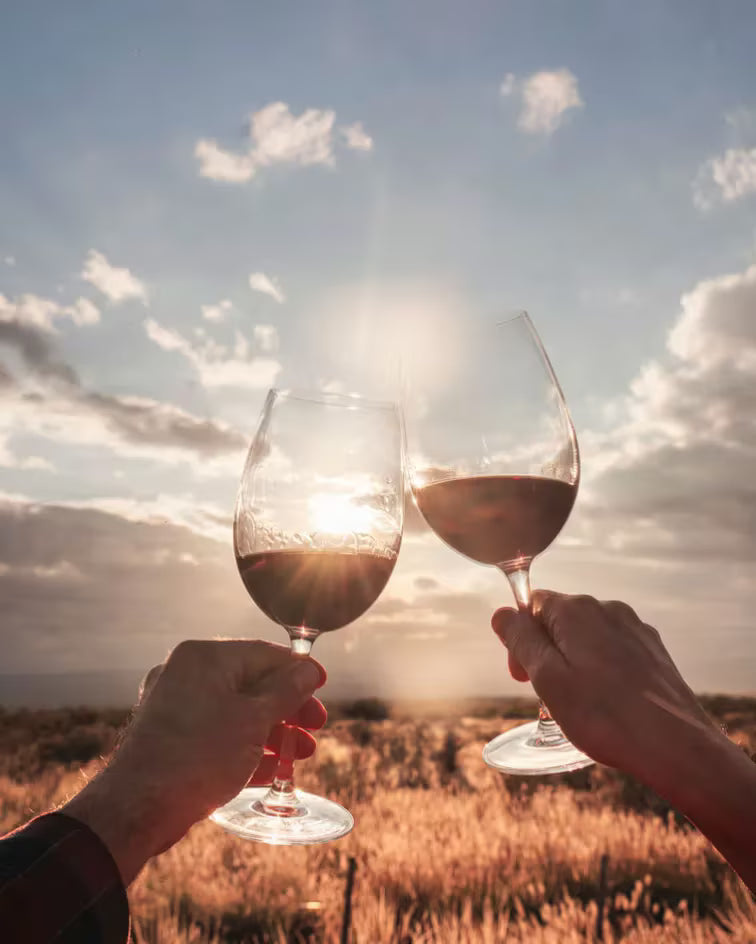 Terrazas-de-los-andes-Product-Page-red-wines-ENG-mendoza-malbec-argentina-red-wine-terrazas-de-los-andes_15_jpg.avif