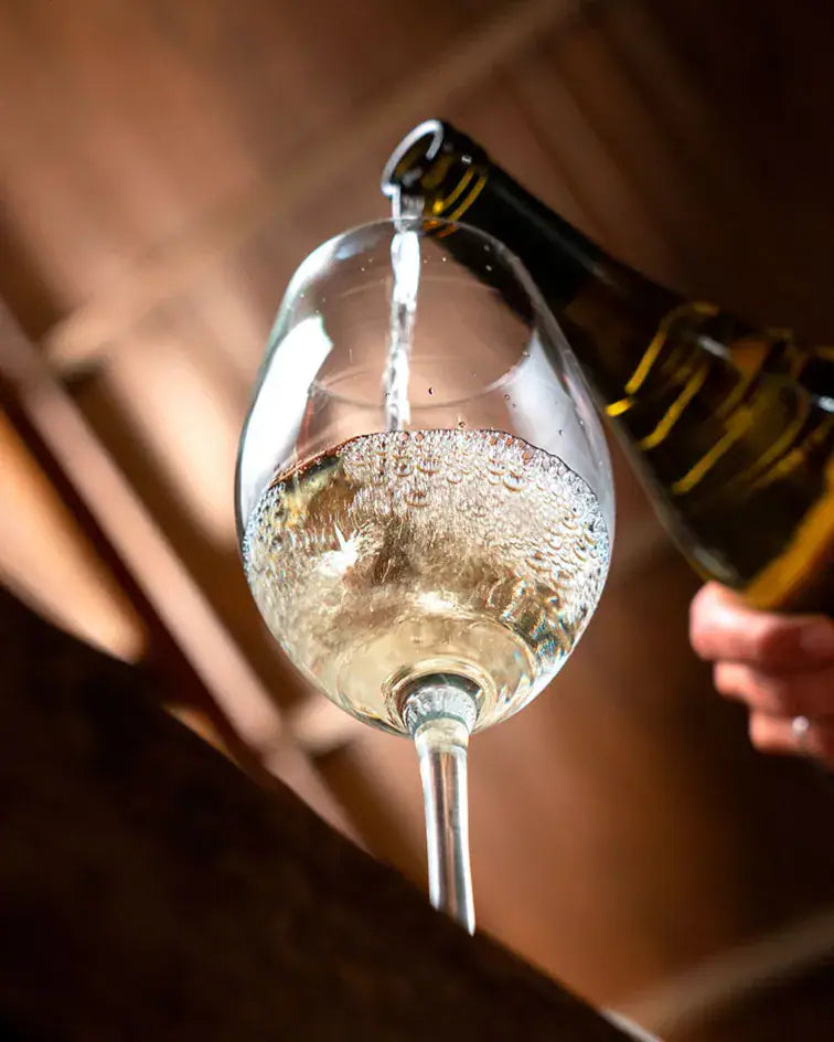 Terrazas-de-los-andes-Product-Page-white-chardonnay-wines-ENG-mendoza-argentina-red-wine-terrazas-de-los-andes_1_jpg.webp