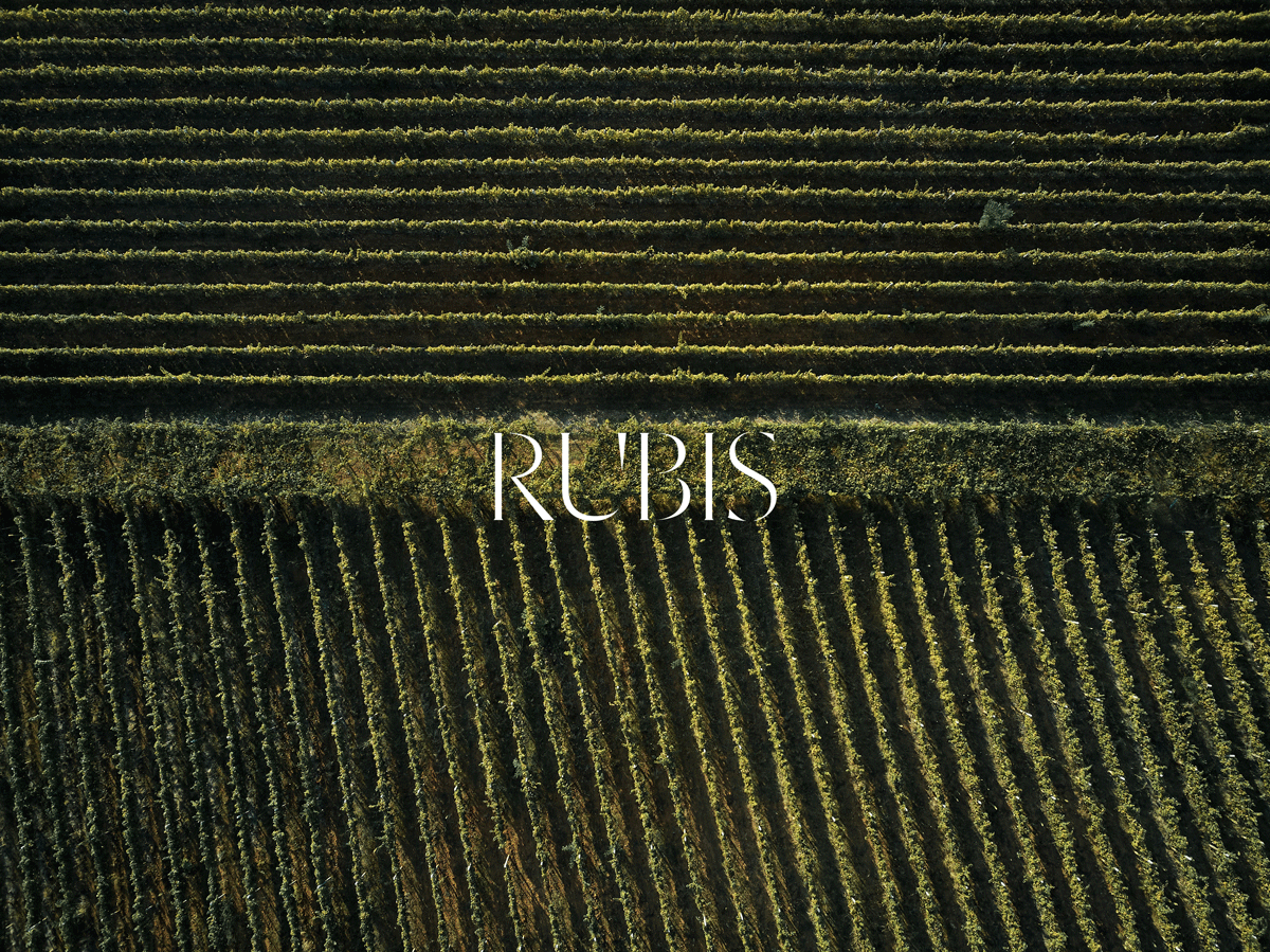 rubiswebsite.png